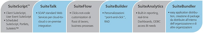 Clustin Prodotti NetSuite